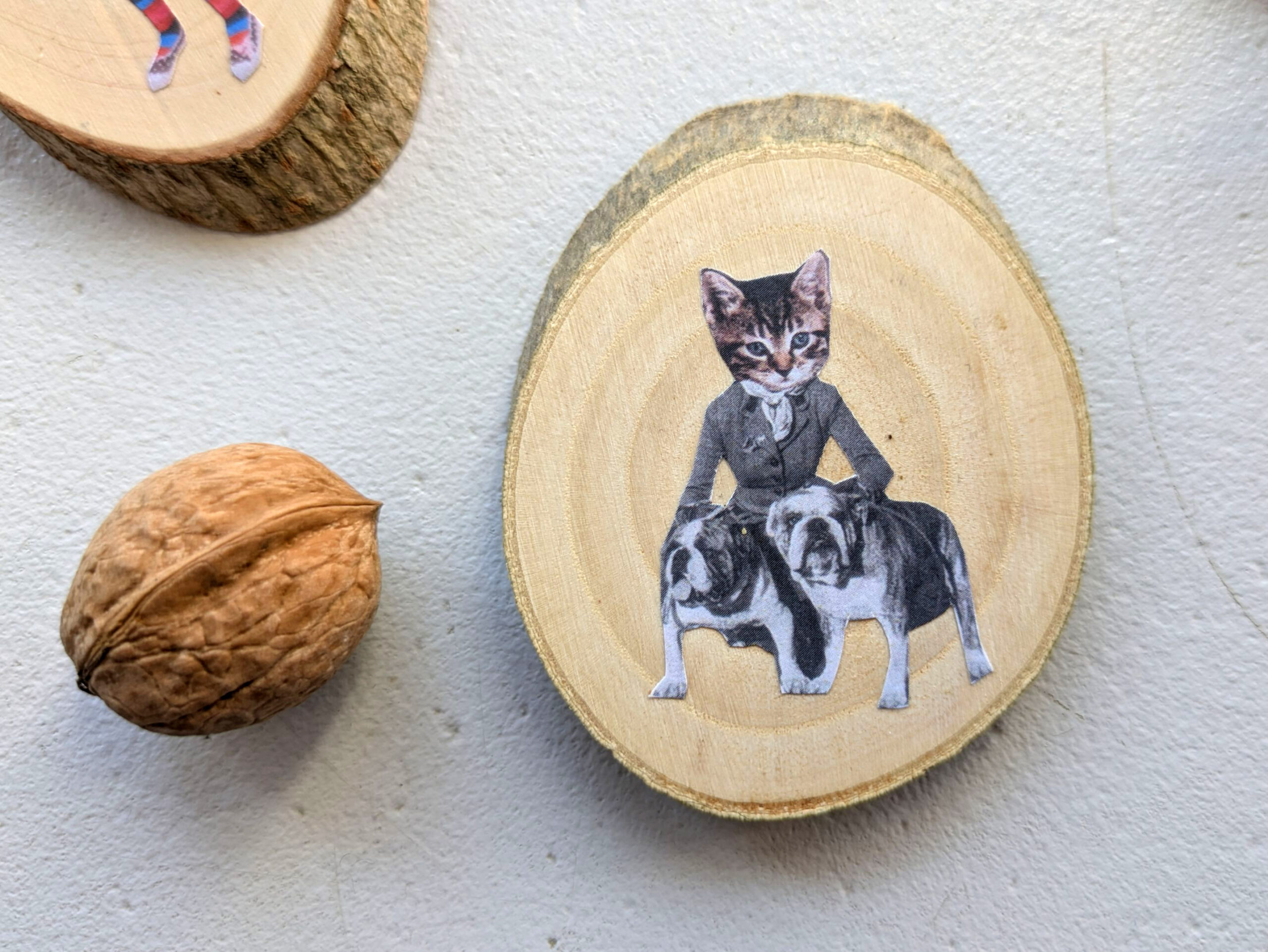 Annet label woods cat n dogs